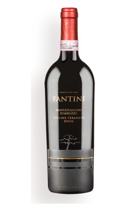 Trang chủ Rượu vang Fantini Montepulciano d’Abruzzo Colline Teramane DOCG
