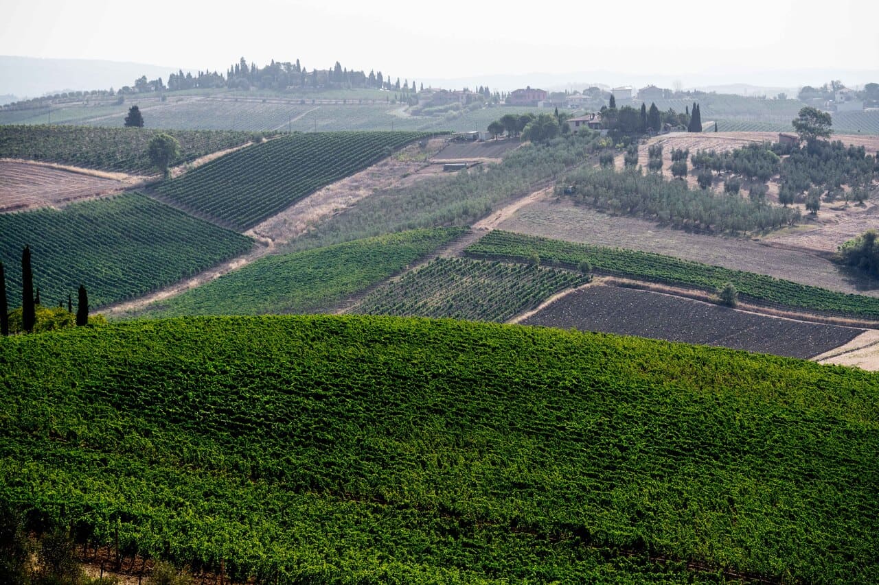 Trang chủ Đồi nho Tenute Rossetti, Toscana